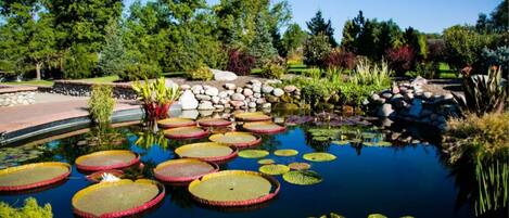 المنطقة المحيطة بالمنشأة