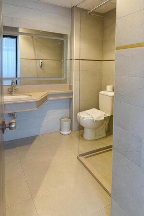 Een moderne badkamer met een douchecabine van glas, een wastafel met spiegel en een toilet.