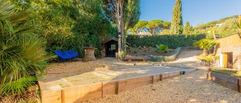 A garden with a wooden bench, a small shed, and a gravel path.
