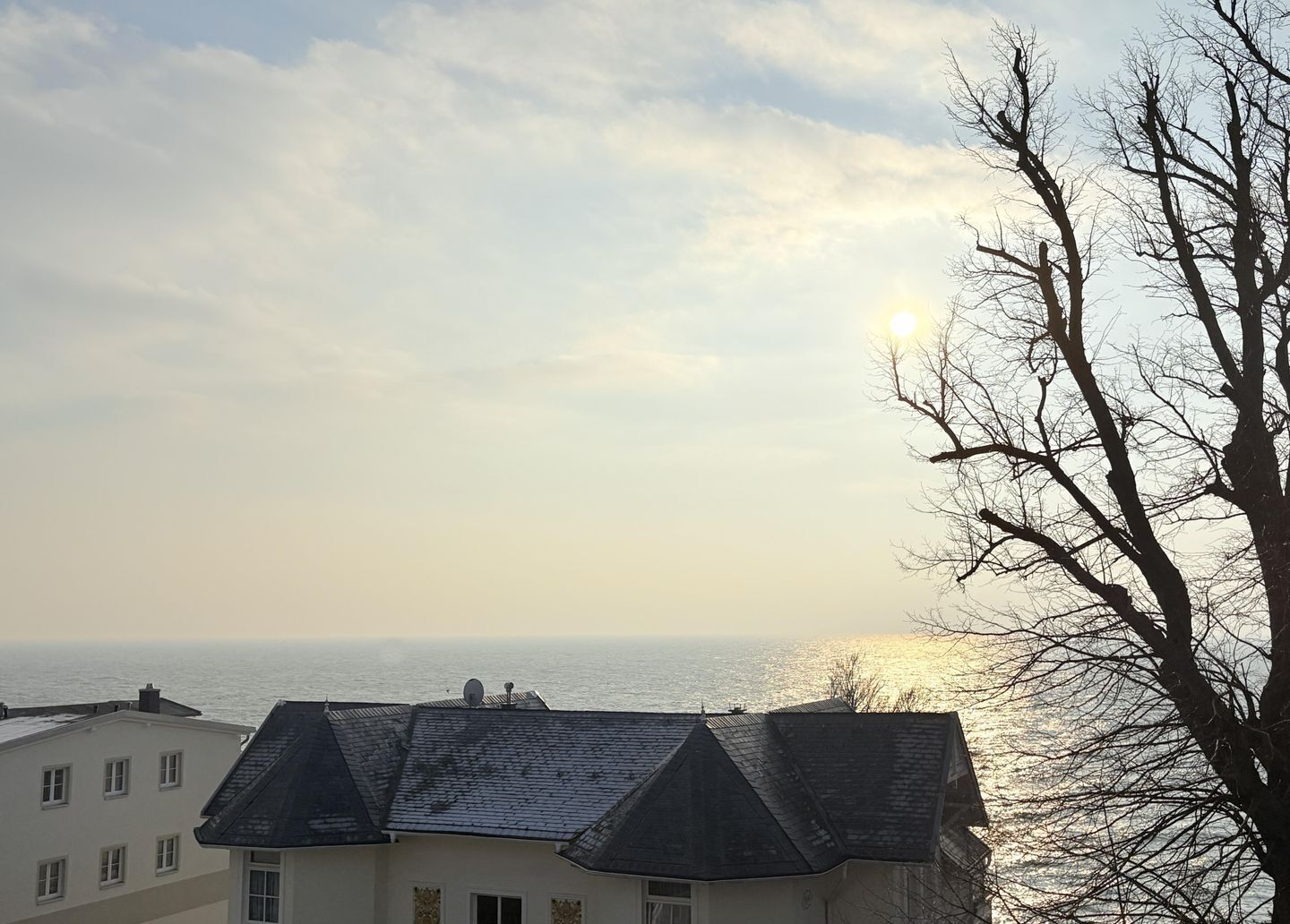 A coastal view with buildings and a tree.