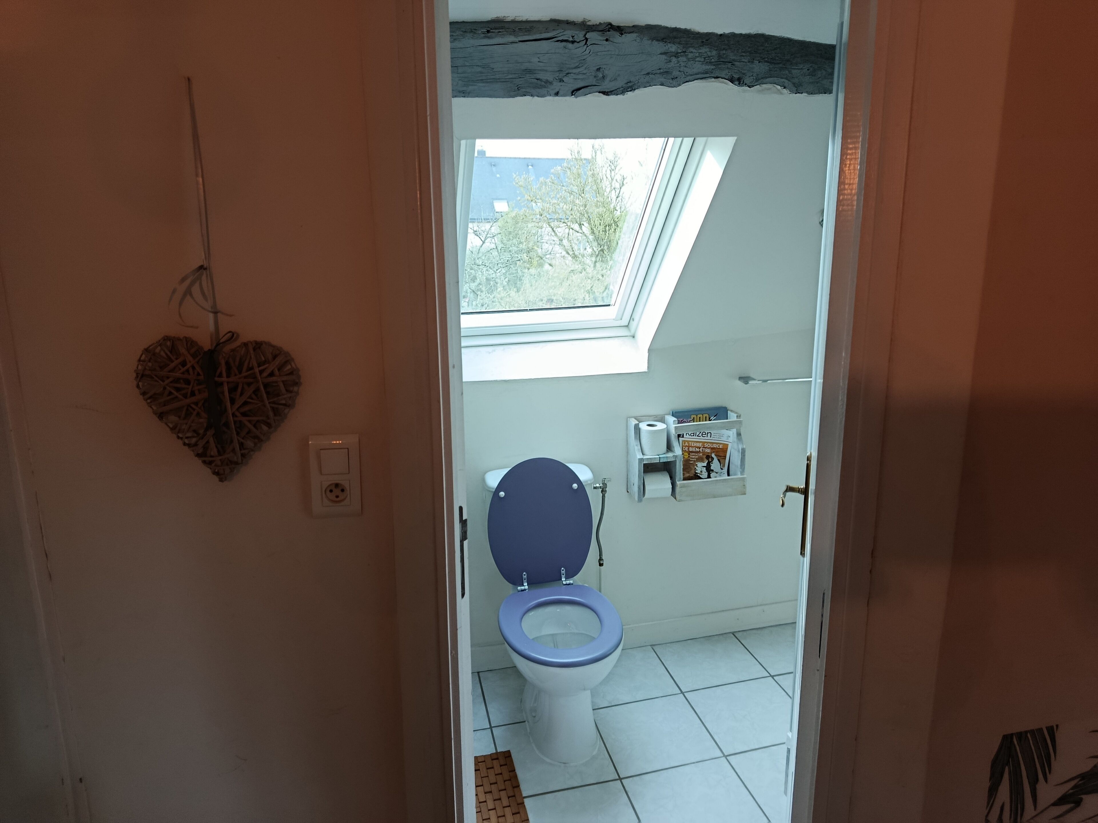 A bathroom with a toilet, a heart-shaped decoration, a skylight, and a shelf with toiletries.