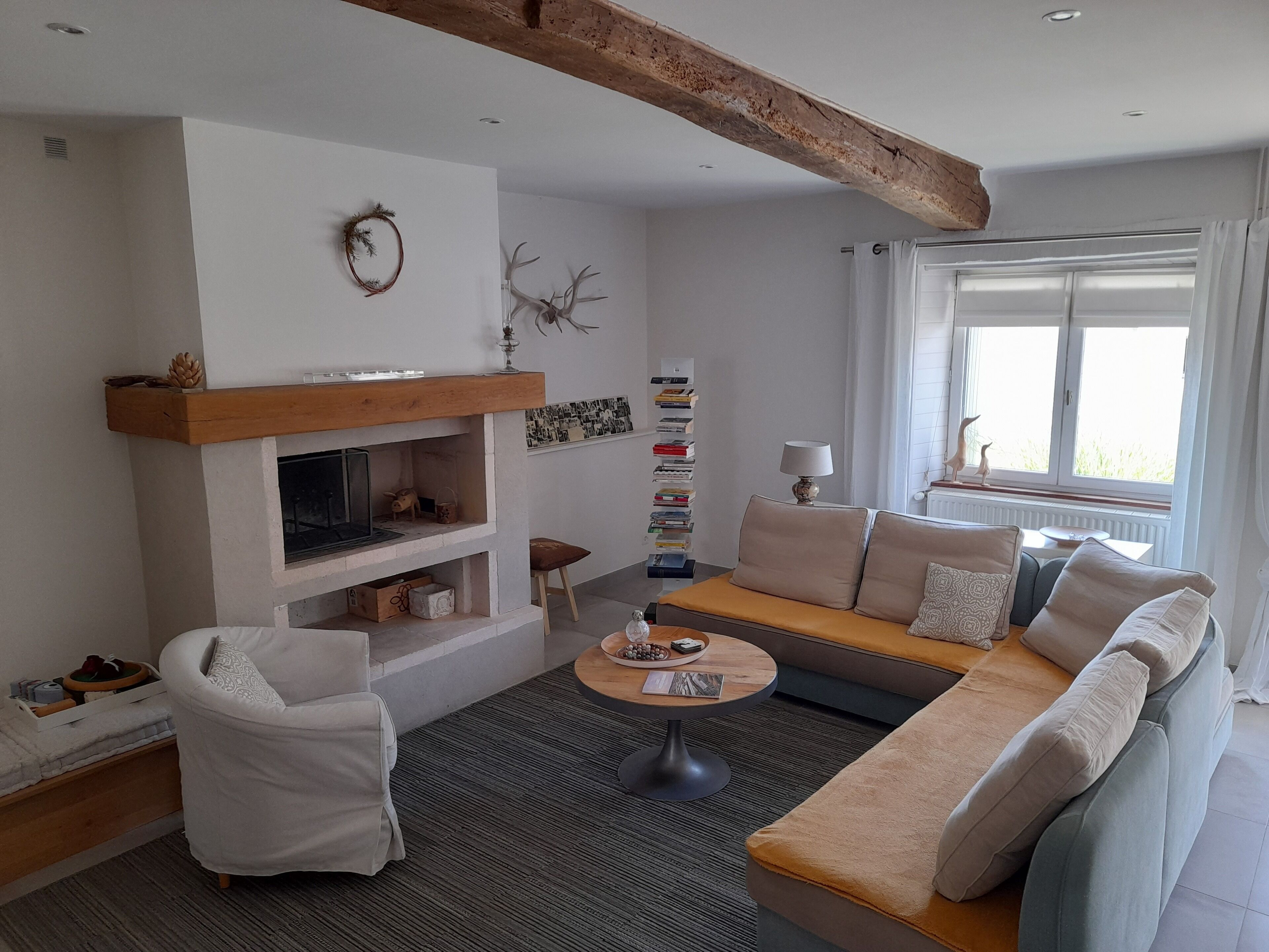 Smart TV, fireplace, DVD player, books