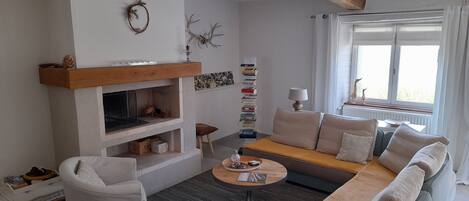 Smart TV, fireplace, DVD player, books