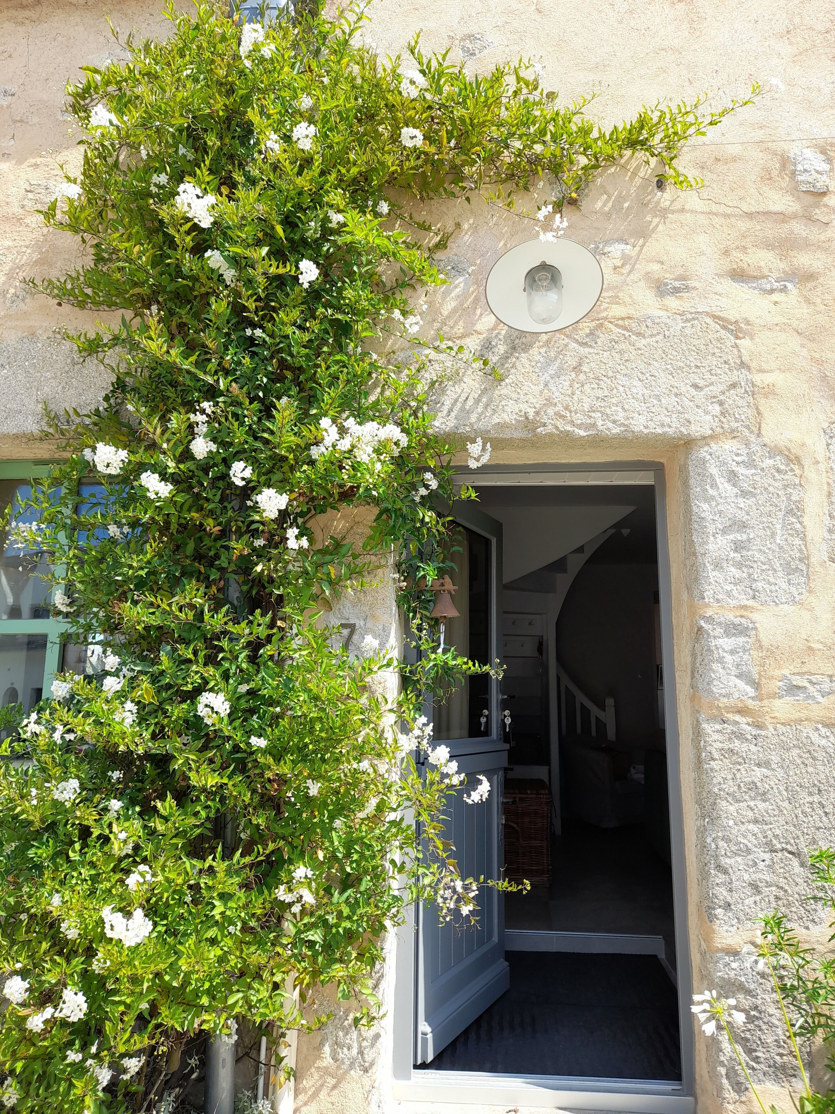 Detalle exterior