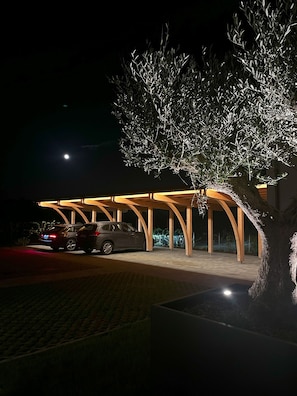 A covered parking area with a car parked under a tree. - Palma Suite (Ca' Nani)