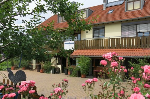 Vacation apartment at the Weinhof | In the middle of the vineyards and close to the city