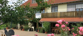Vacation apartment at the Weinhof | In the middle of the vineyards and close to the city