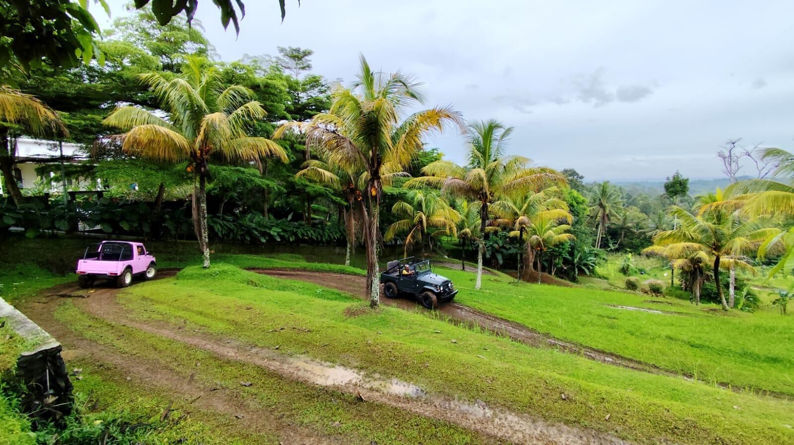 Pemandangan taman