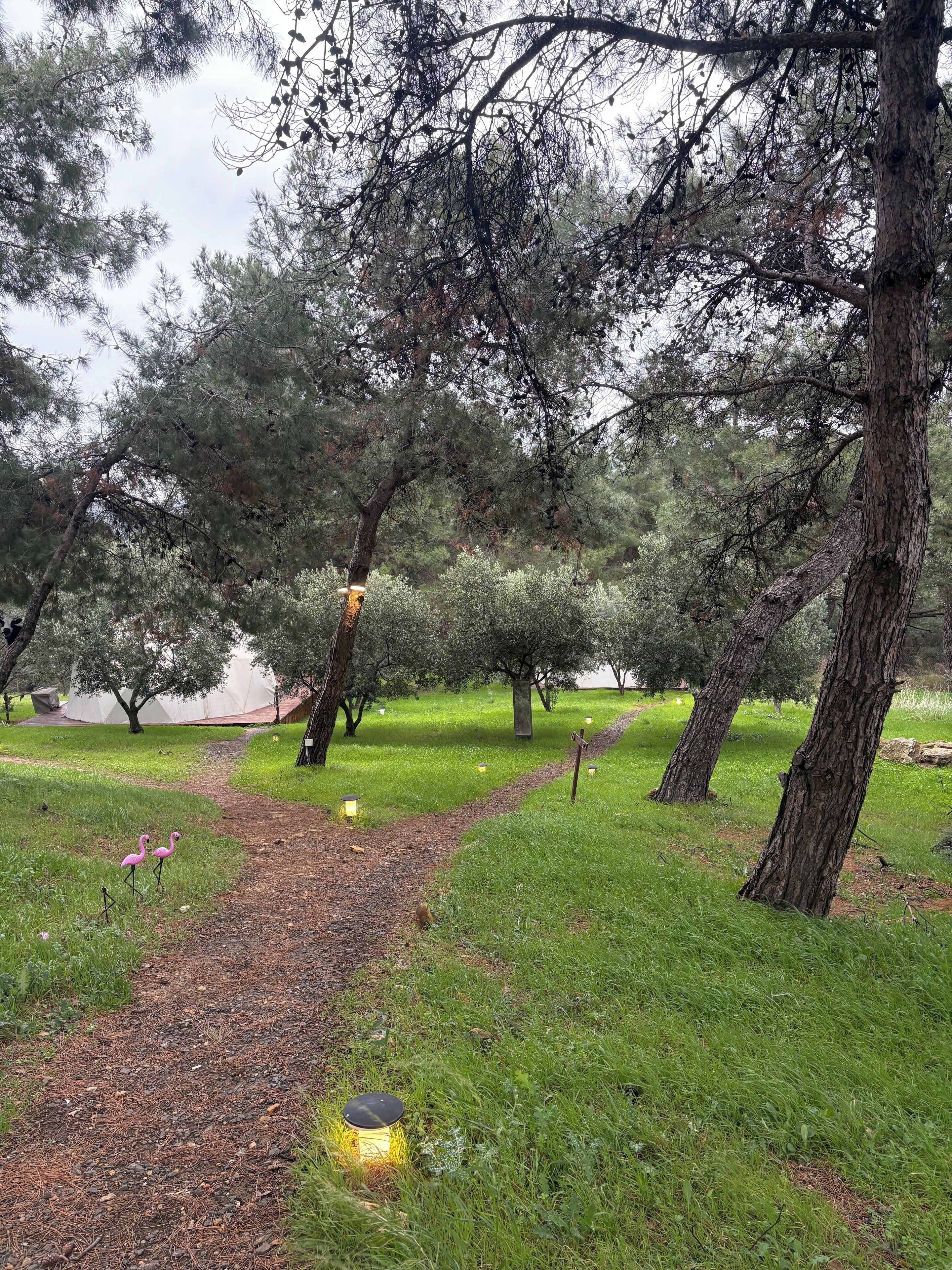 Terrein van de accommodatie