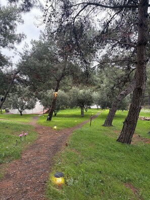 Property grounds - Rida Sultan Konağı (İzmir)