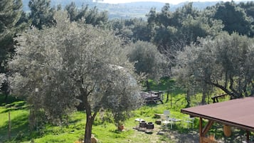 Zimmer, Gartenblick | Unterkunftsgelände