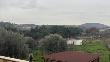 Área da propriedade