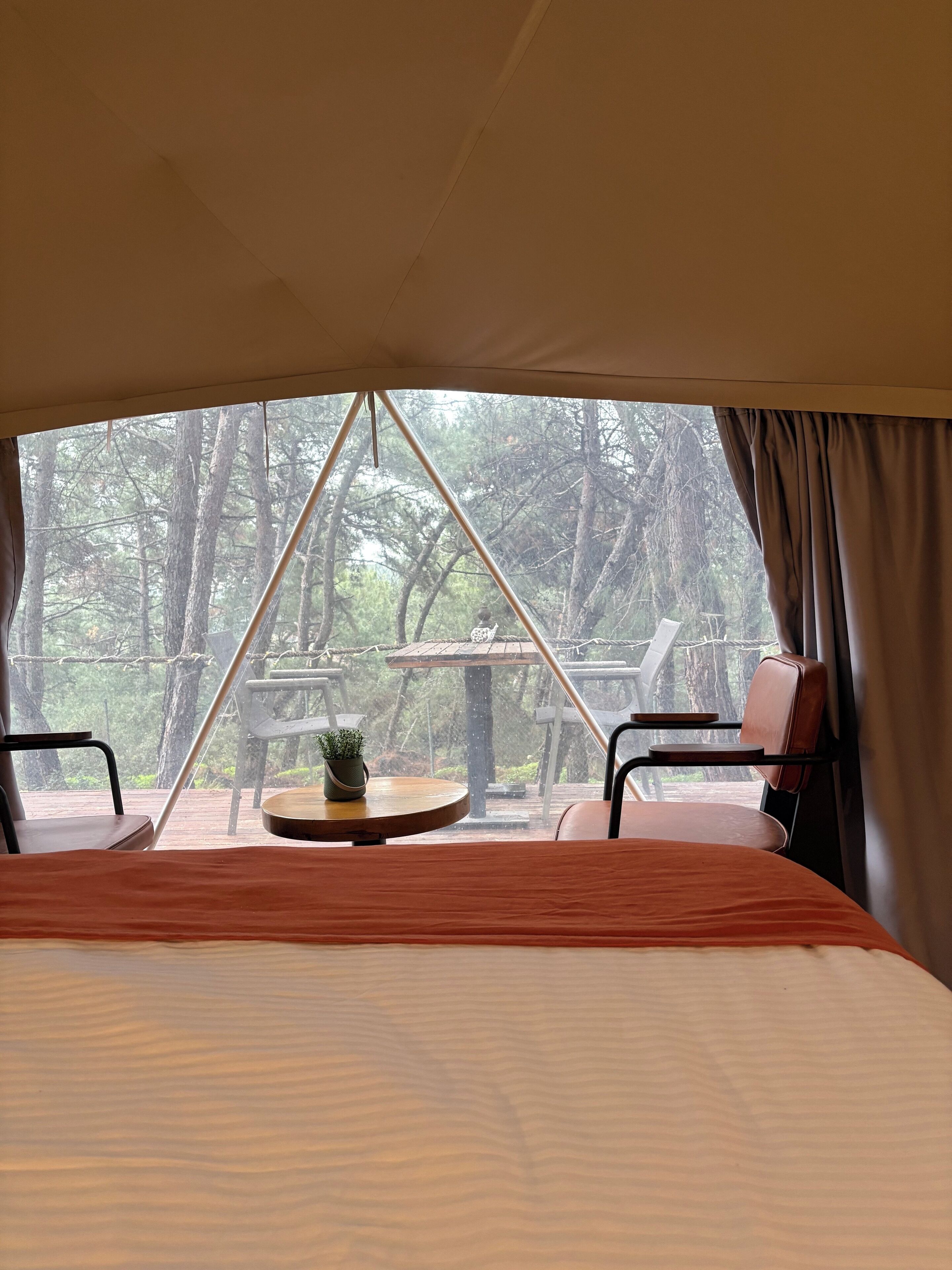 Standard-telttamajoitus | Tallelokero huoneessa, työpöytä, ilmainen Wi-Fi, vuodevaatteet