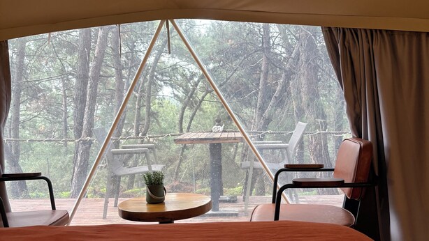 A tented accommodation with a bed, two chairs, a small table with a plant, and a view of a forested area. - Rida Sultan Konağı (Foca)