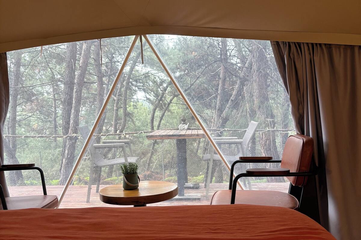 Standard-telttamajoitus | Tallelokero huoneessa, työpöytä, ilmainen Wi-Fi, vuodevaatteet