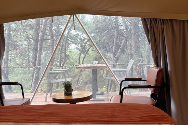 Standard Tent | In-room safe, desk, free WiFi, bed sheets