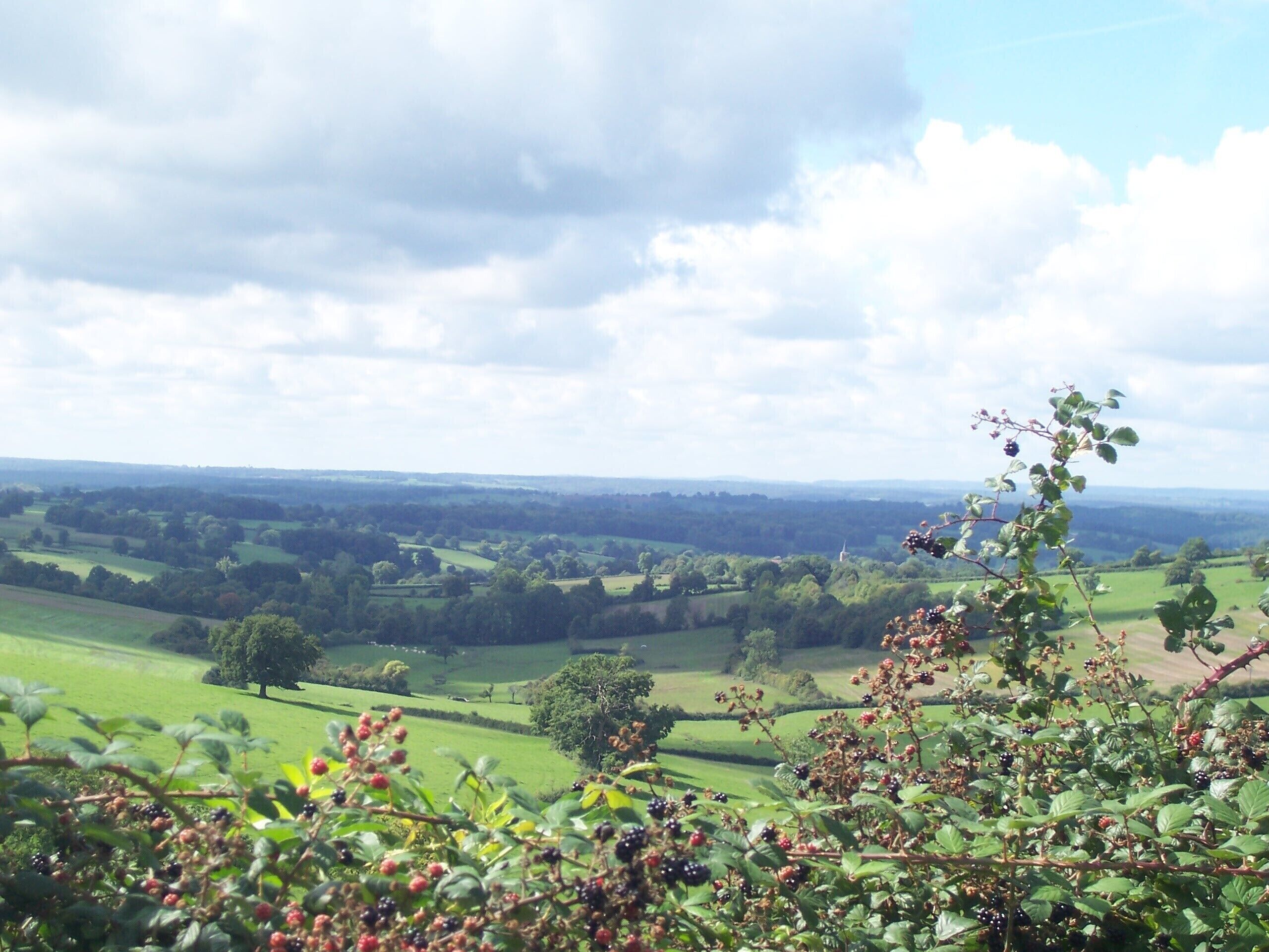 A rural landscape with rolling green fields, a distant windmill, and a cloudy sky.