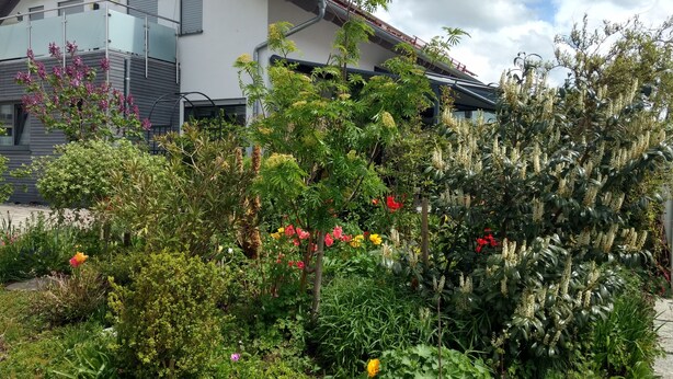Ett modernt hus med en balkong, omgivet av en välskött trädgård med olika växter och blommor.