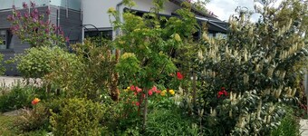 Our cozy vacation apartment "Felderhalde"