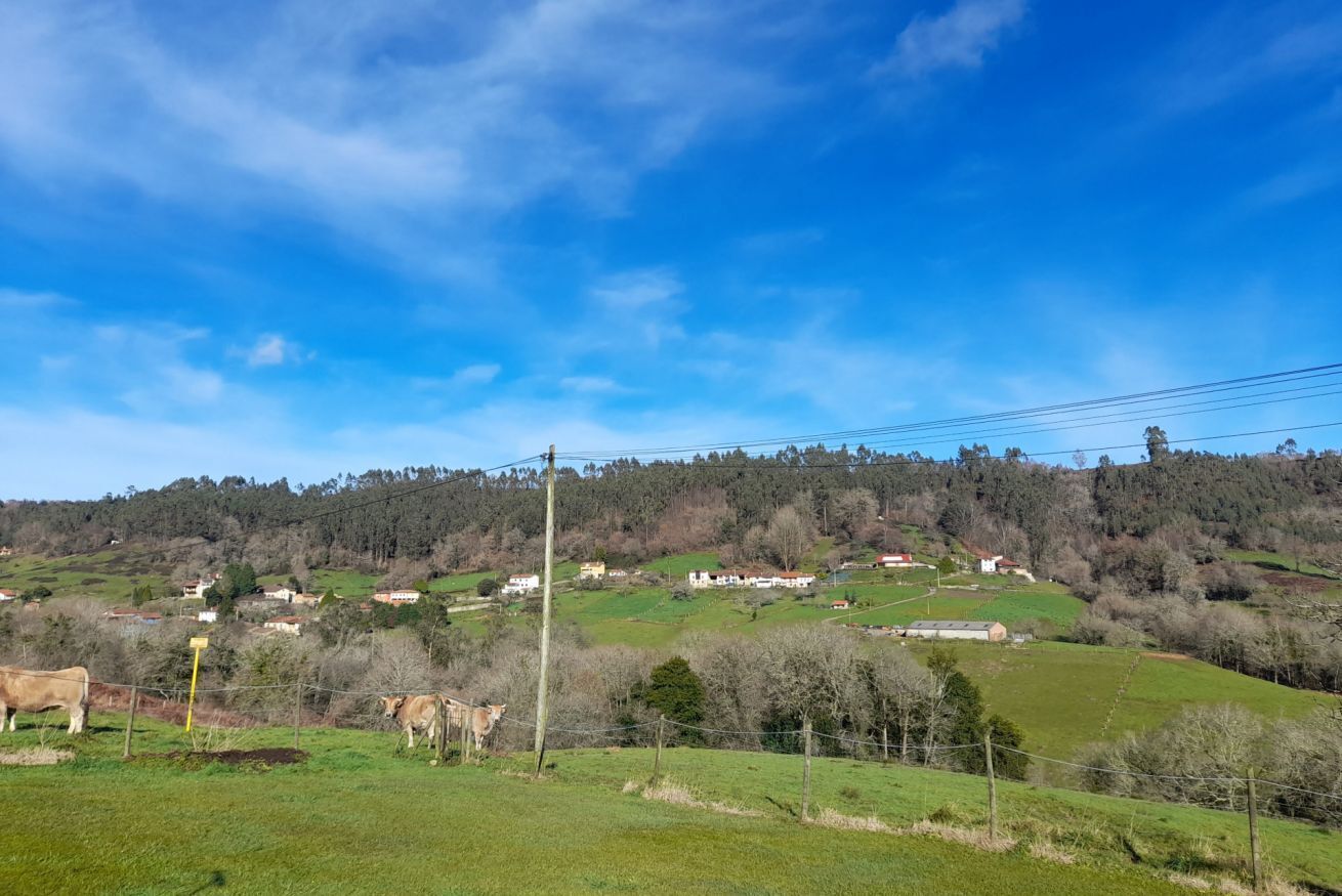 A rural landscape with rolling hills, scattered houses, and grazing cows.