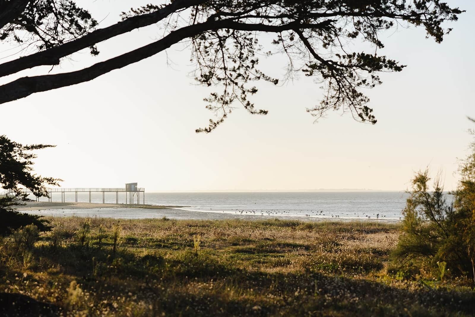 En la playa y toallas de playa 