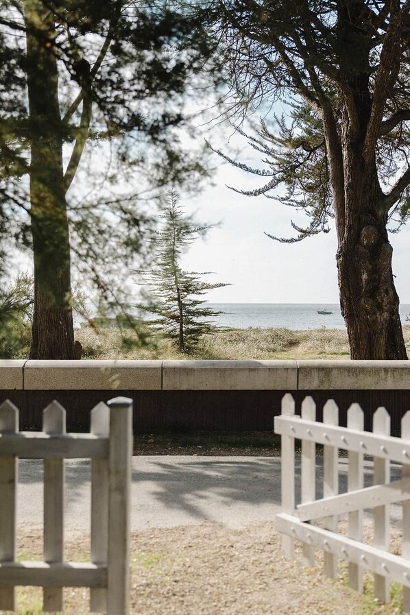 Luokittelematon kuva, 1 kautta 50, painike