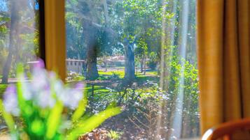 A window view of a park with trees and a building in the background.