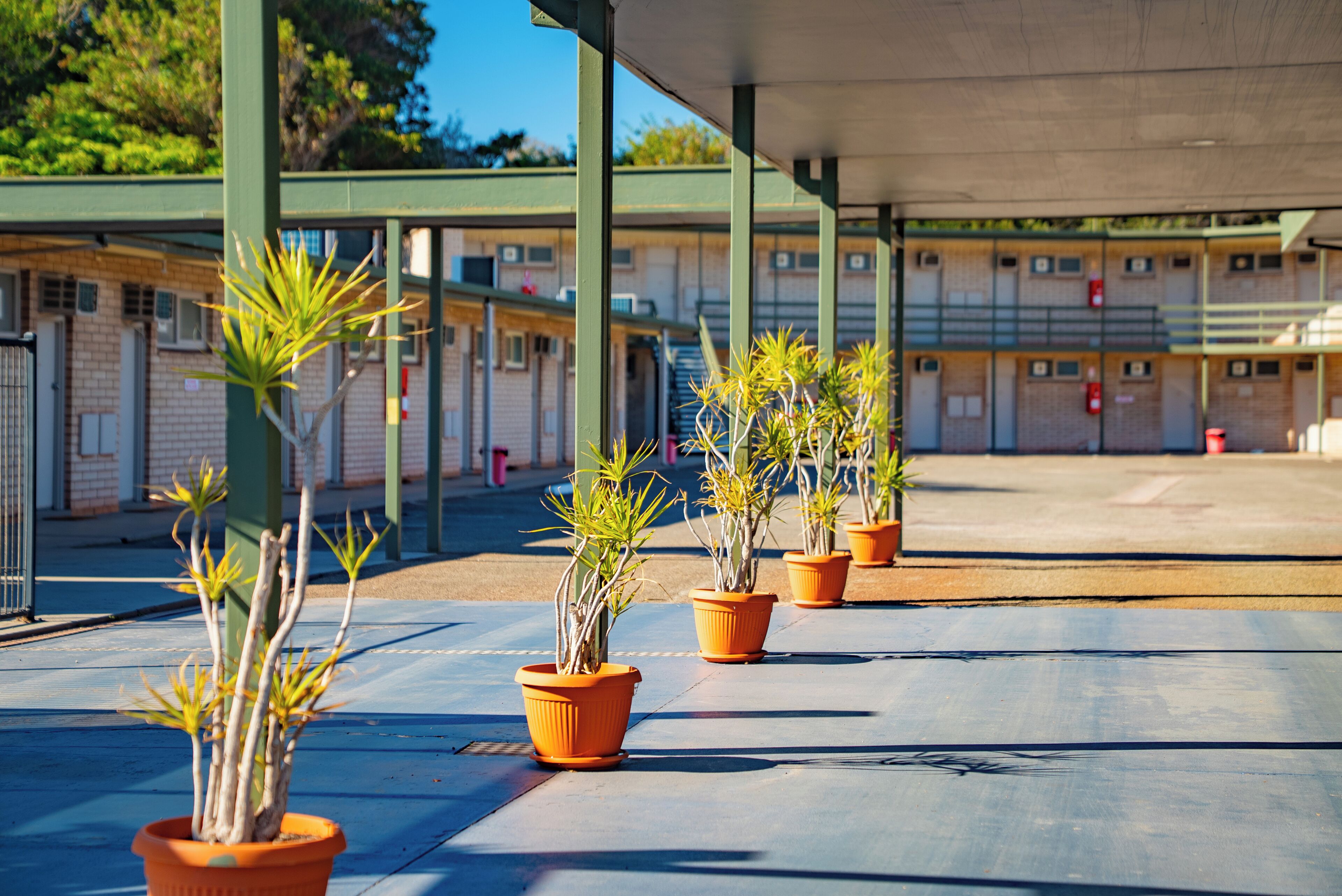 Overnattingsstedets uteområder