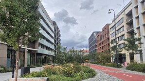 A modern urban street with a red bike lane, a bench, and a landscaped area with plants and a tree. - Smichov Luxury apartments (Prague 5)