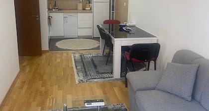 Modern 1BR Apartment in Ljubović – Podgorica