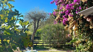 A garden with a table and chairs, surrounded by various plants and flowers. - D1MORA Castello: a PET FRIENDLY corner of peace with shared pool (Gardone Riviera)