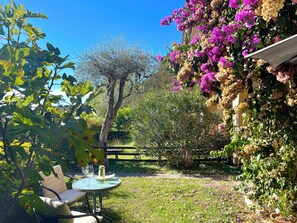 Ein Garten mit Tisch und Stühlen, umgeben von verschiedenen Pflanzen und Blumen.