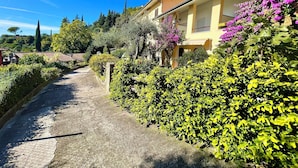 A narrow, paved pathway flanked by lush greenery and a yellow building with a visible antenna. - D1MORA Castello: a PET FRIENDLY corner of peace with shared pool (Gardone Riviera)
