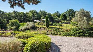 Áreas de la propiedad