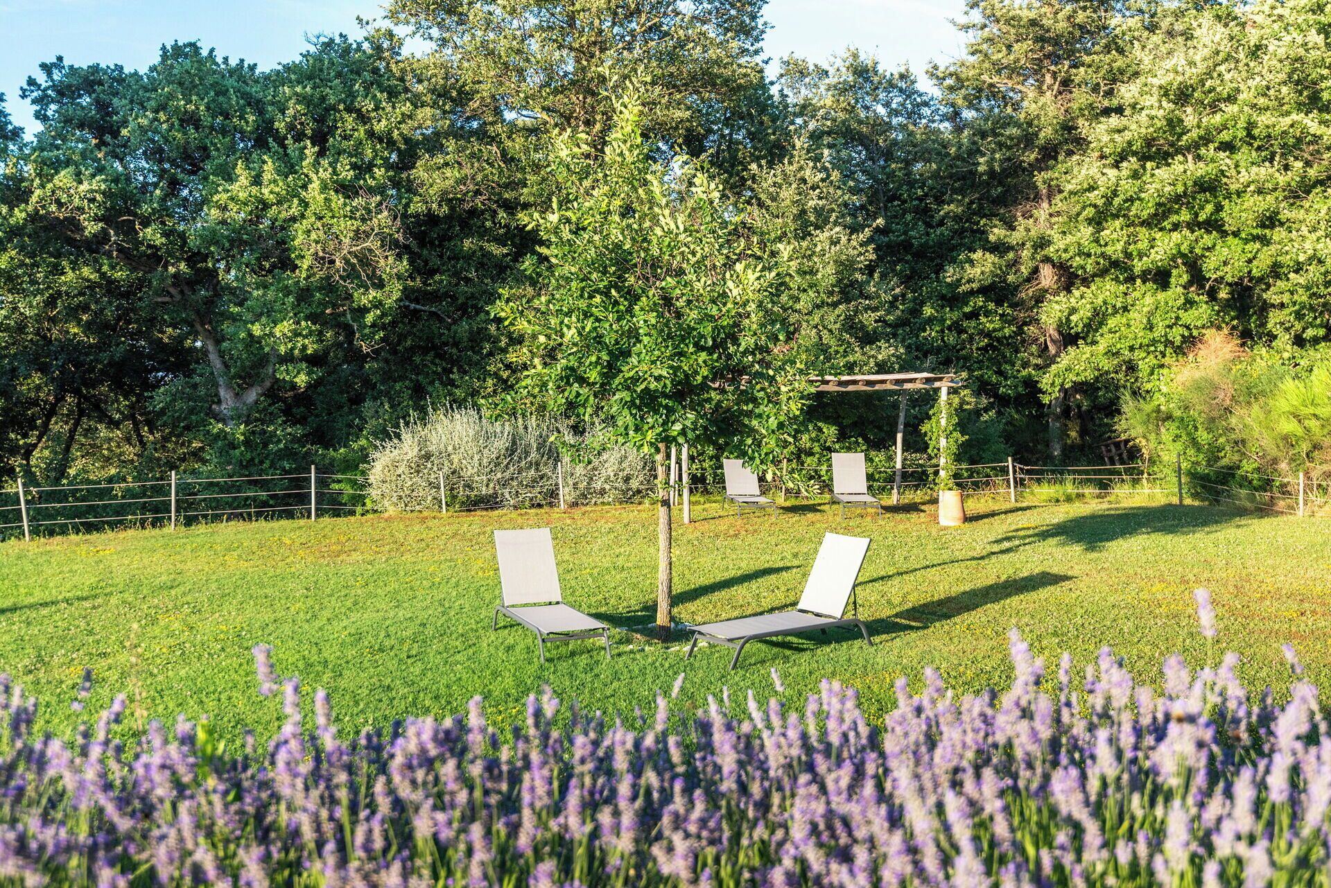 Un jardín con un pérgola, dos sillones de descanso y una fila de plantas de lavanda.