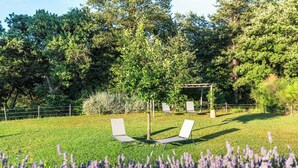 Een tuin met een pergola, twee lounge stoelen en een rij lavendelplanten.