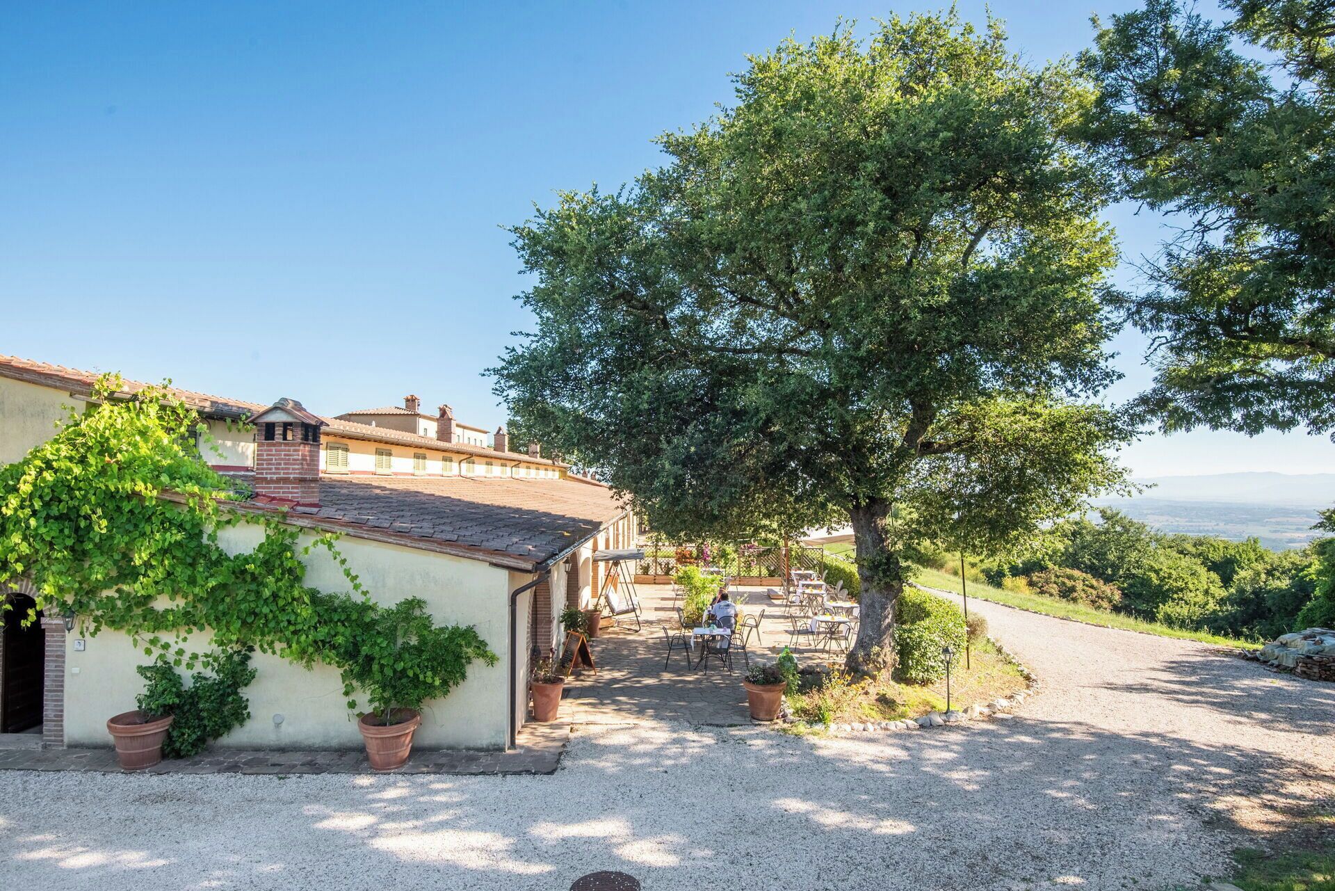 A rustic building with a gravel driveway, outdoor seating, and a large tree providing shade.