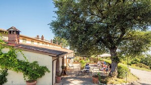 Zona d'estar a l'aire lliure amb taules i caires, un camí que condueix a un edifici amb teulada enrajolada, i plantes en testos.