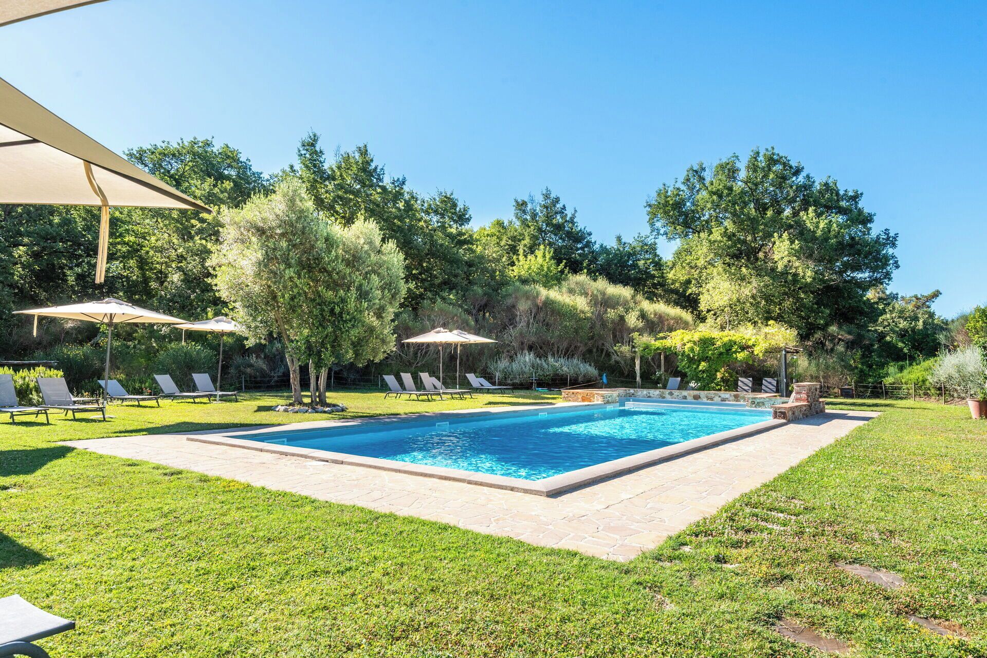 Una piscina rettangolare con bordo in pietra, circondata da un prato curato e alberi. Sono presenti sedie a sdraio e ombrelloni per ripararsi dal sole.