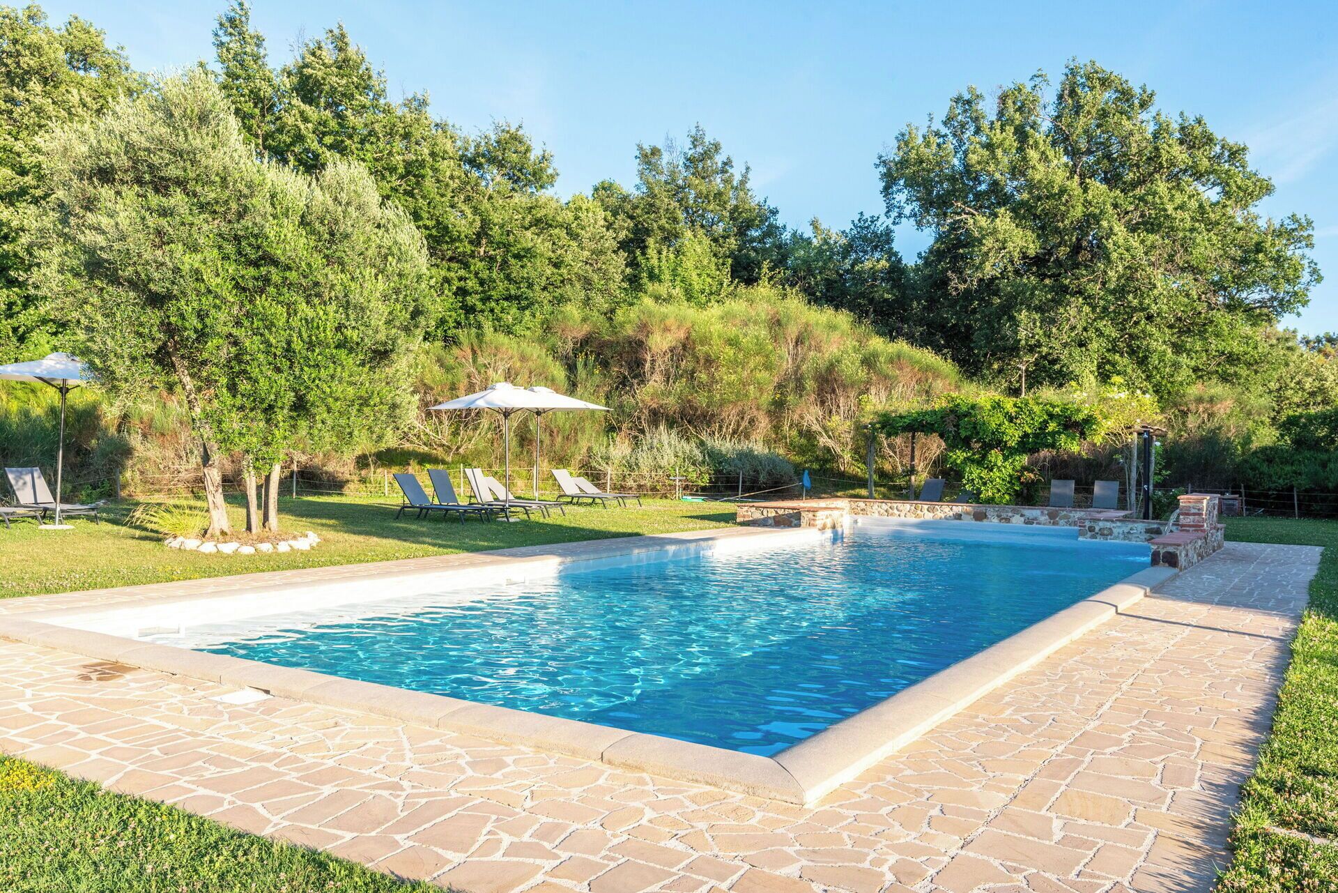 A rectangular swimming pool with a stone border, surrounded by a grassy area with trees and a stone patio.