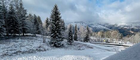 A snowy landscape with a clear sky, trees, and distant mountains.