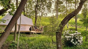 A tented accommodation surrounded by trees and greenery. - Turkusowa Wyspa (Wlen)