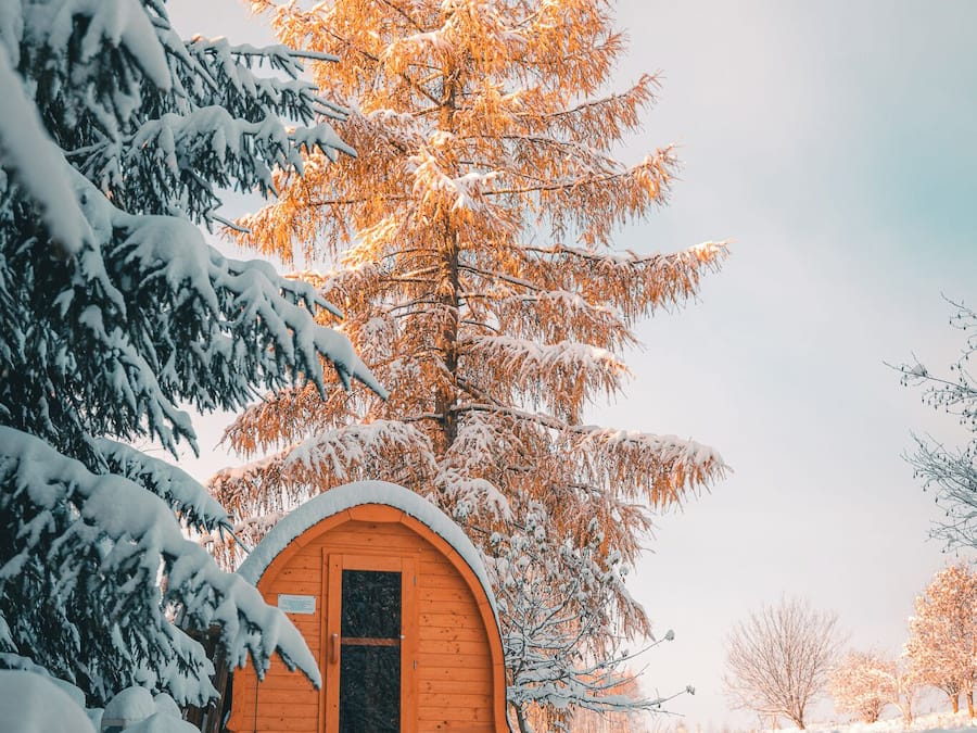 Une cabane en bois dont le toit est recouvert de neige, entourée d’arbres chargés de neige et sous un ciel dégagé.