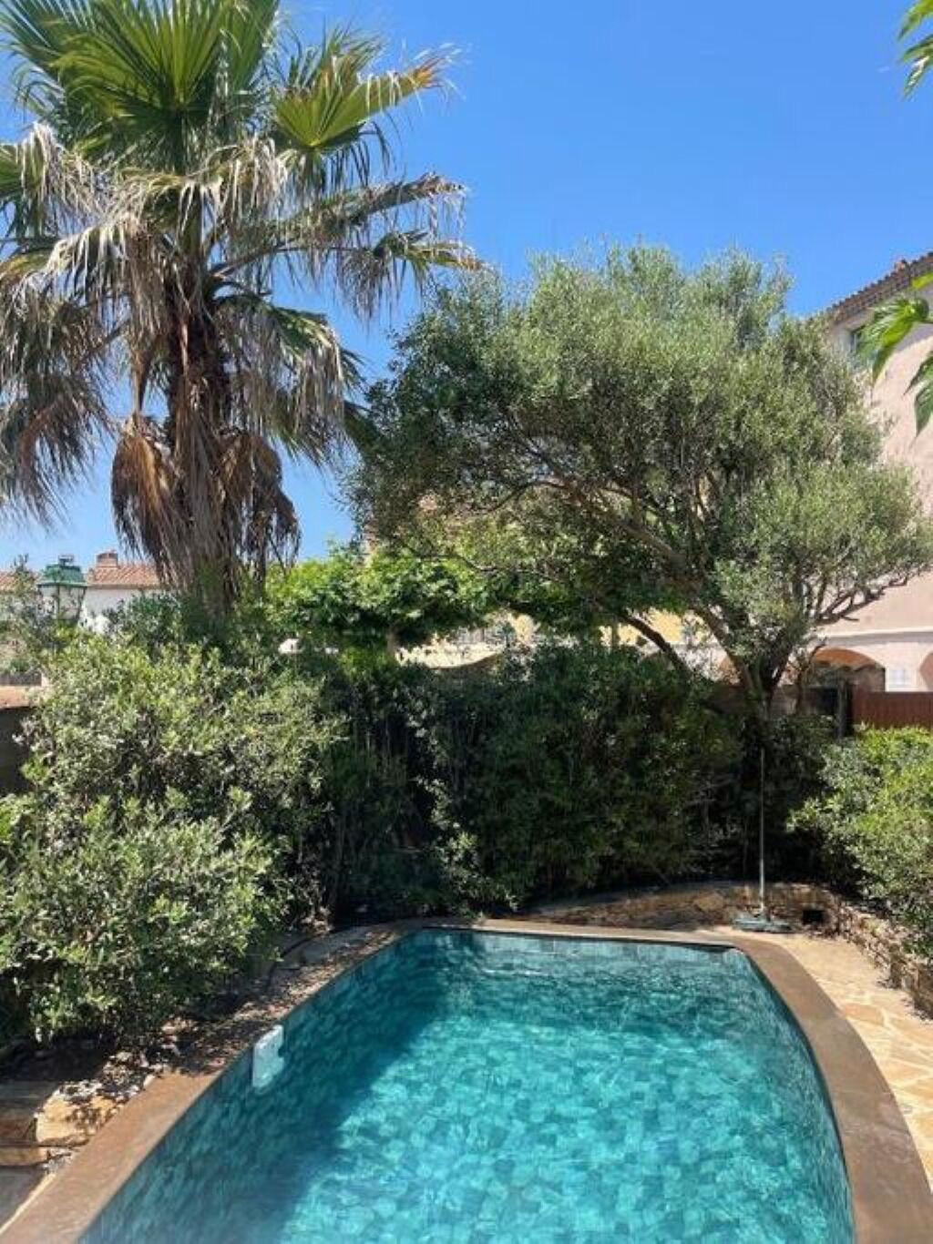 A swimming pool surrounded by lush greenery and a palm tree.
