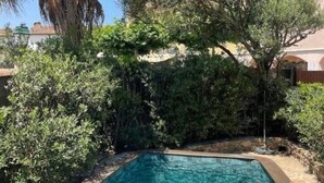 Une piscine entourée d’une végétation luxuriante et d’un palmier.