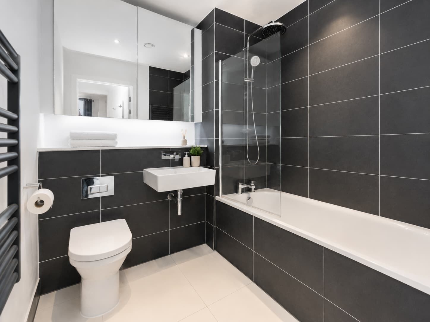 Shower, hair dryer, shampoo