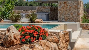 A pool area with a stone structure, red flowers, and a clear sky. - Le Mont Blanc (Kounoupidiana)