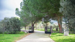 A paved pathway leading to a gated entrance surrounded by trees and greenery. - Mountain Voyage Residences Serene Lesvos Stay (Lesvos)