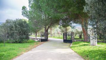 Un sendero pavimentado que lleva a una entrada con puerta, rodeada de árboles y follaje.