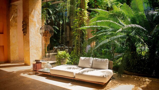 Um quarto iluminado pelo sol com um sofá, luminária pendente e folhagem exuberante.